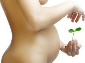 homeopatia en el embarazo