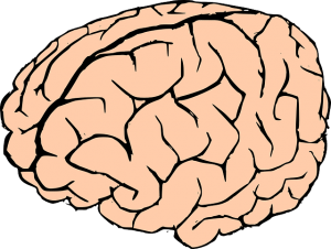 Tratamiento después de un infarto cerebral