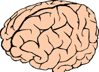Tratamiento para una persona con infarto cerebral Tratamiento después de un infarto cerebral