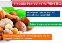FRUTOS SALUDABLES, ¿engordan o son SALUDABLES? Beneficios Frutos Secos para la Salud