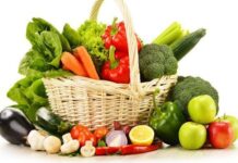 Como ALIMENTAR A Los NIÑOS En OTOÑO