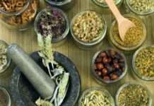 HIERBAS Que Alivian los Síntomas de La FIBROMIALGIA