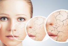 Necesidad del Colágeno para el Cuerpo Humano necesitamos colageno