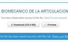 Analisis Biomecanico Comparativo Articulacion RadioCarpiana entre Lesionado y Sano