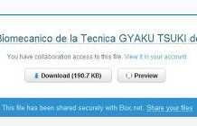 Analisis Biomecanico de la Tecnica GYAKU TSUKI de Karate de un equipo donde un Karateca presenta Lesion de Rodilla