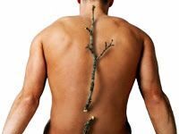 La Fisioterapia como tratamiento para la Osteoporosis