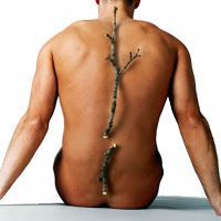 La Fisioterapia como tratamiento para la Osteoporosis