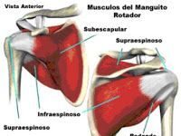 Enfermedad degenerativa del manguito rotador: 2ª parte