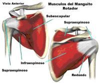 Enfermedad degenerativa del manguito rotador: 2ª parte