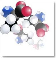 Aminoácidos de cadena ramificada