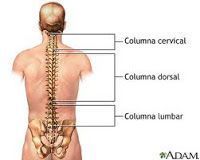 Sintomatología dolorosa de la Columna Cervical