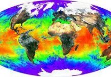 Reacción del cuerpo al cambio de temperatura