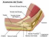 Codo de golfista: 1ª parte