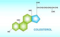 Alimentación para el colesterol