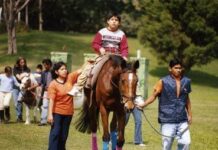 Equinoterapia: Segunda Parte