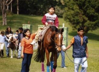 Equinoterapia: Segunda Parte