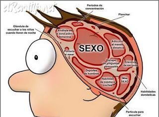 Los hombres y el sexo