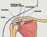 El Hombro