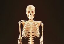 Clasificación y Tipos de Fracturas