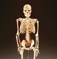 Clasificación y Tipos de Fracturas