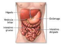 Enfermedades Inflamatorias del Intestino