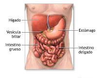 Enfermedades Inflamatorias del Intestino