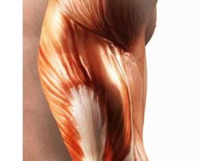 La Fisioterapia en un nervio dañado.