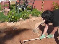 10 Consejos para la Jardinería sin Lesiones en Primavera