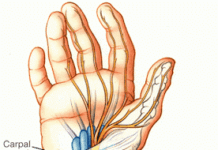 Salud y Computación – Cuidar tus Manos frente al Ordenador