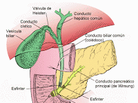 La Cirugía de la Vesícula Biliar (colecistectomía)