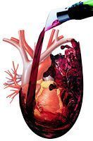 3 Mitos erróneos sobre las enfermedades del corazón