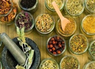 La Fitoterapia Y Sus Usos Terapéutico