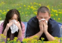 Todo Lo Que Debes Saber Sobre Las Alergias De Primavera