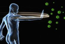 ¿Cuáles Son Los Enemigos De Nuestro Sistema Inmunológico?