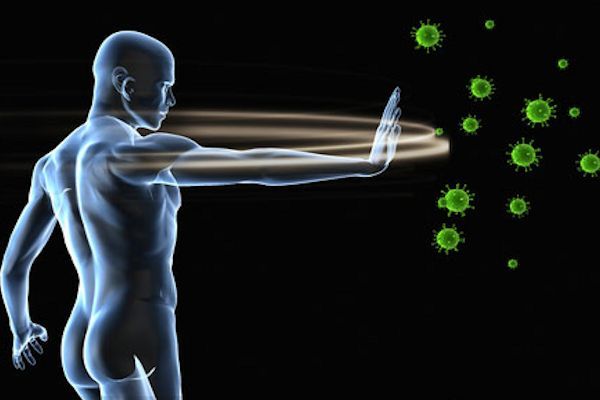 sistema inmunológico