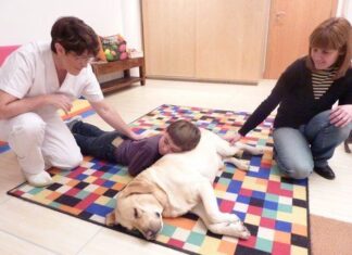 Terapia Asistida con Perros – Beneficios Psicológicos y Físicos Terapia con Animales