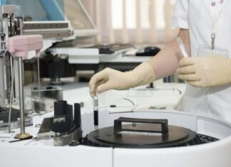 Aplicaciones de las Células Madre en Fisioterapia Celulas Madre en Fisioterapia