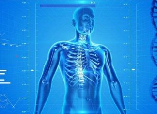 Cómo Evitar el Dolor de Espalda Por Estrés Cómo Evitar el Dolor de Espalda Por Estrés