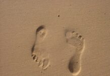 Beneficios de Caminar Descalzo Beneficios de Caminar Descalzo