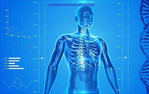 Dolor de Espalda: ¿Cuáles son las Causas más Frecuentes?  