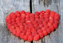 10 Consejos para CUIDAR tu CORAZÓN Diez Consejos para Cuidar tu Corazón