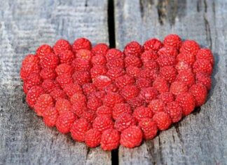 10 Consejos para CUIDAR tu CORAZÓN Diez Consejos para Cuidar tu Corazón