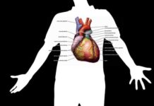 Consejos de Salud para Mejorar la Circulación Consejos de Salud para Mejorar la Circulación