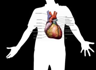 Consejos de Salud para Mejorar la Circulación Consejos de Salud para Mejorar la Circulación