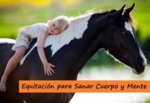 La EQUITACIÓN, Excelente Deporte para SANAR Cuerpo y Mente Beneficios de la EQUITACIÓN