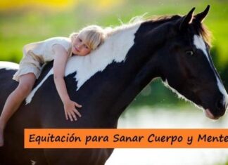 La EQUITACIÓN, Excelente Deporte para SANAR Cuerpo y Mente Beneficios de la EQUITACIÓN