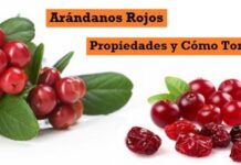 Arándanos rojos – ¡pequeños frutos llenos de vitaminas! Beneficios de los Arándanos Rojos