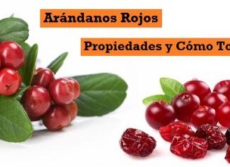 Arándanos rojos – ¡pequeños frutos llenos de vitaminas! Beneficios de los Arándanos Rojos