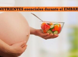 NUTRIENTES esenciales durante el EMBARAZO y Alimentos donde Encontrarlos NUTRIENTES esenciales durante el EMBARAZO