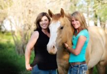 ¿Qué es el Coaching con Caballos? ¿Qué es el Coaching con Caballos?